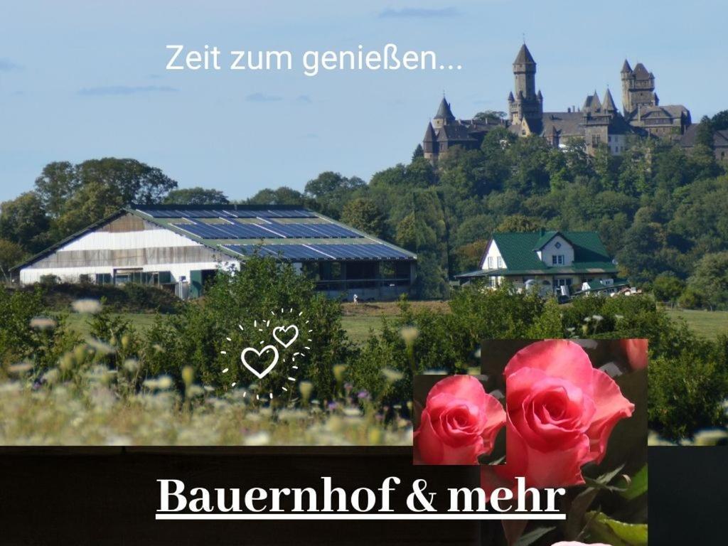 Kleine Einzigartige Ferienwohnung Auf Dem Bauernhof, Direkt In Der Natur Mit Blick Auf Schloss 布劳恩费尔斯 外观 照片