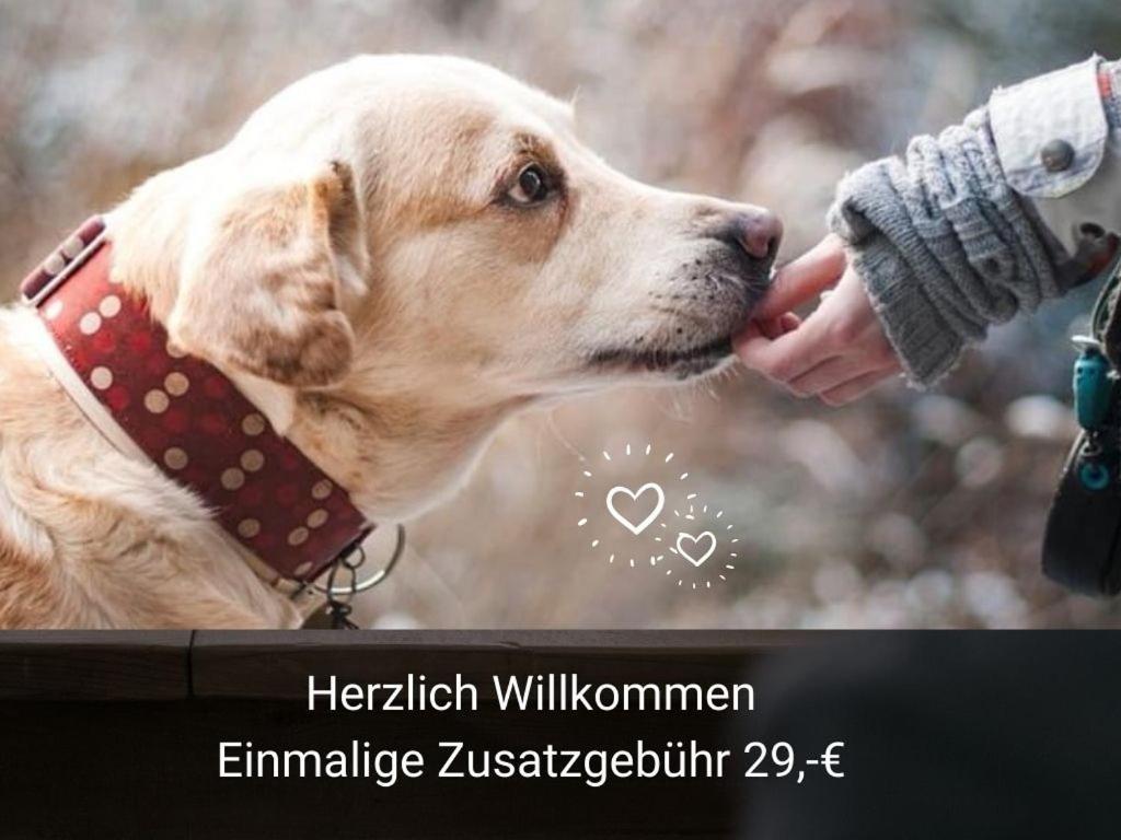 Kleine Einzigartige Ferienwohnung Auf Dem Bauernhof, Direkt In Der Natur Mit Blick Auf Schloss 布劳恩费尔斯 外观 照片