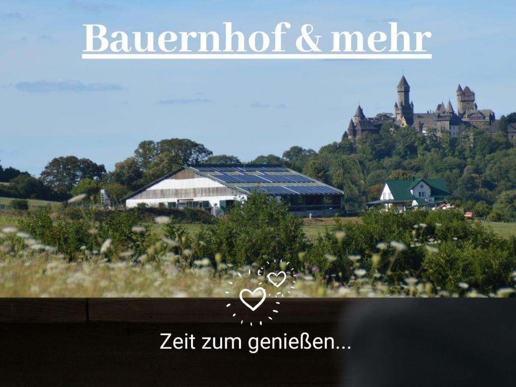 Kleine Einzigartige Ferienwohnung Auf Dem Bauernhof, Direkt In Der Natur Mit Blick Auf Schloss 布劳恩费尔斯 外观 照片