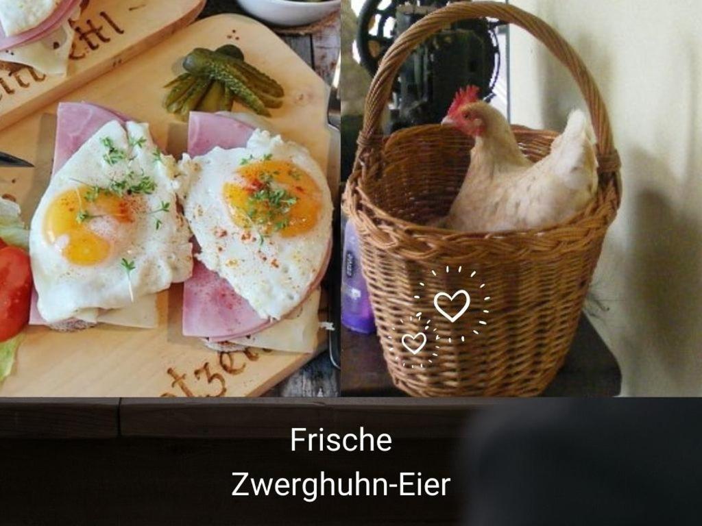 Kleine Einzigartige Ferienwohnung Auf Dem Bauernhof, Direkt In Der Natur Mit Blick Auf Schloss 布劳恩费尔斯 外观 照片