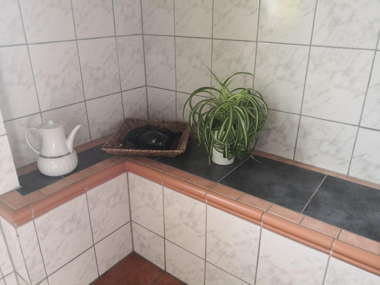 Kleine Einzigartige Ferienwohnung Auf Dem Bauernhof, Direkt In Der Natur Mit Blick Auf Schloss 布劳恩费尔斯 外观 照片
