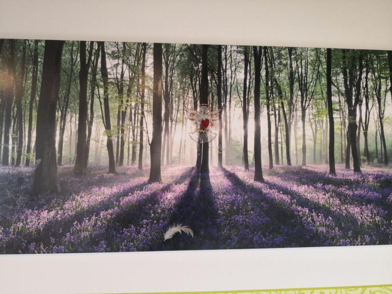 Kleine Einzigartige Ferienwohnung Auf Dem Bauernhof, Direkt In Der Natur Mit Blick Auf Schloss 布劳恩费尔斯 外观 照片
