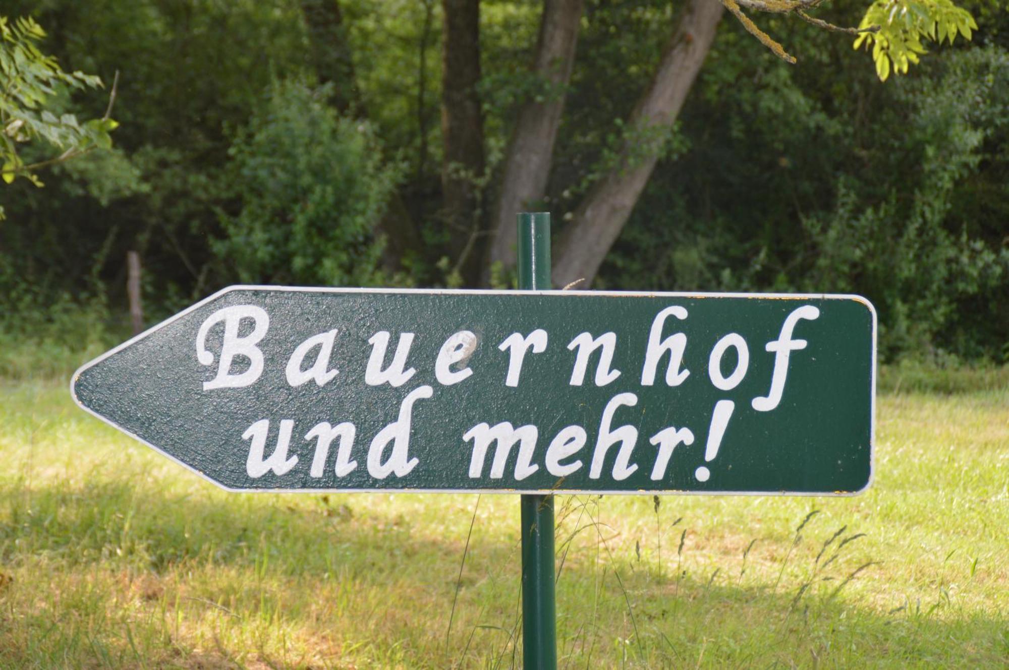 Kleine Einzigartige Ferienwohnung Auf Dem Bauernhof, Direkt In Der Natur Mit Blick Auf Schloss 布劳恩费尔斯 外观 照片